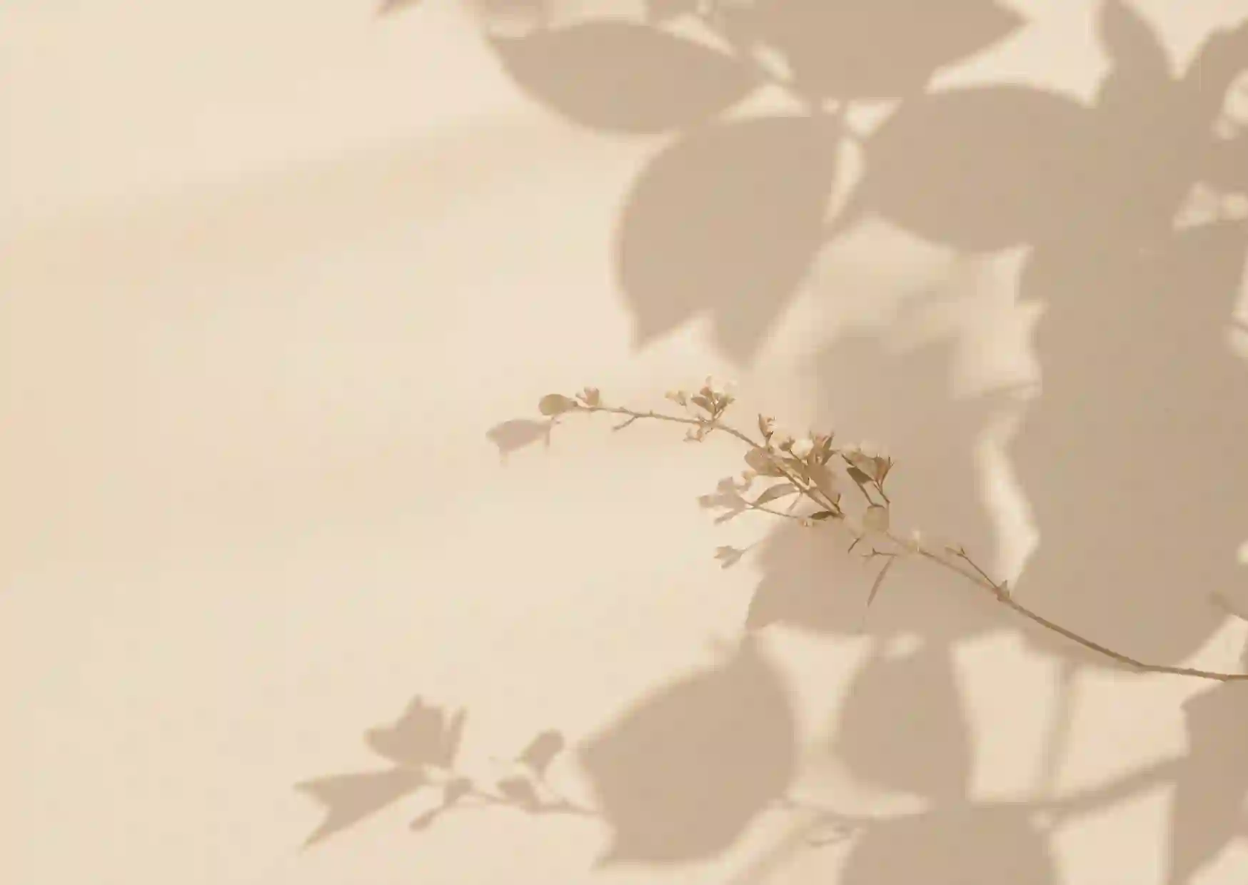 Samen beige