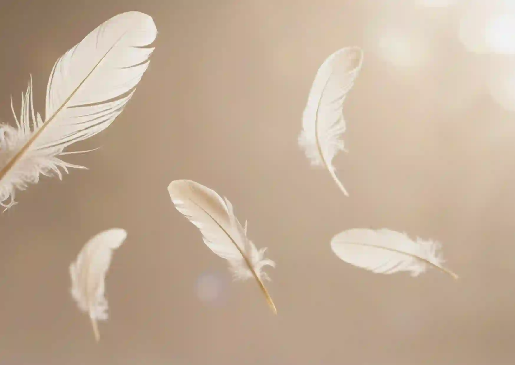Samen beige