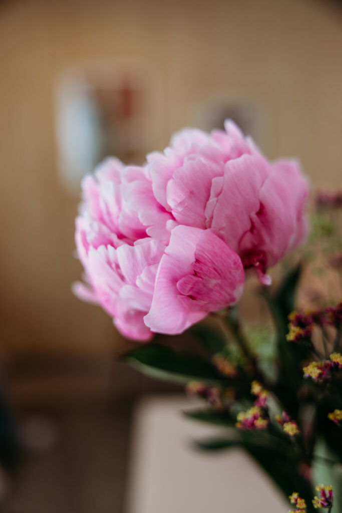 Blumen im Beratungsraum